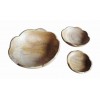 017 0399 Set 3